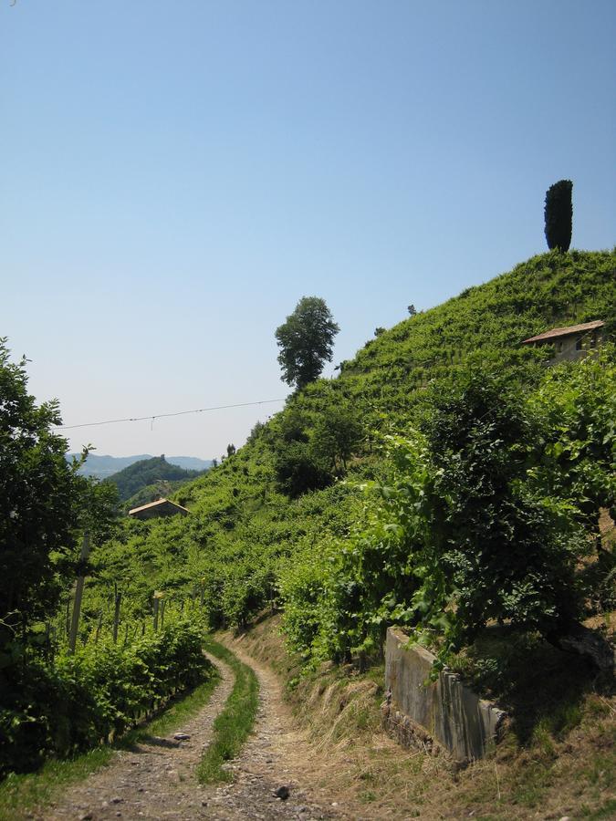 Azienda Agricola Campion Valdobbiadene Exterior foto